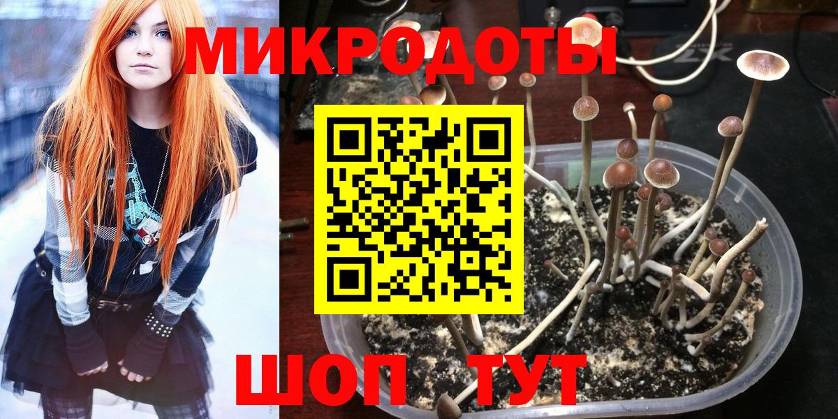 Псилоцибиновые грибы Psilocybine cubensis  Вход с VPN  Нарткала 